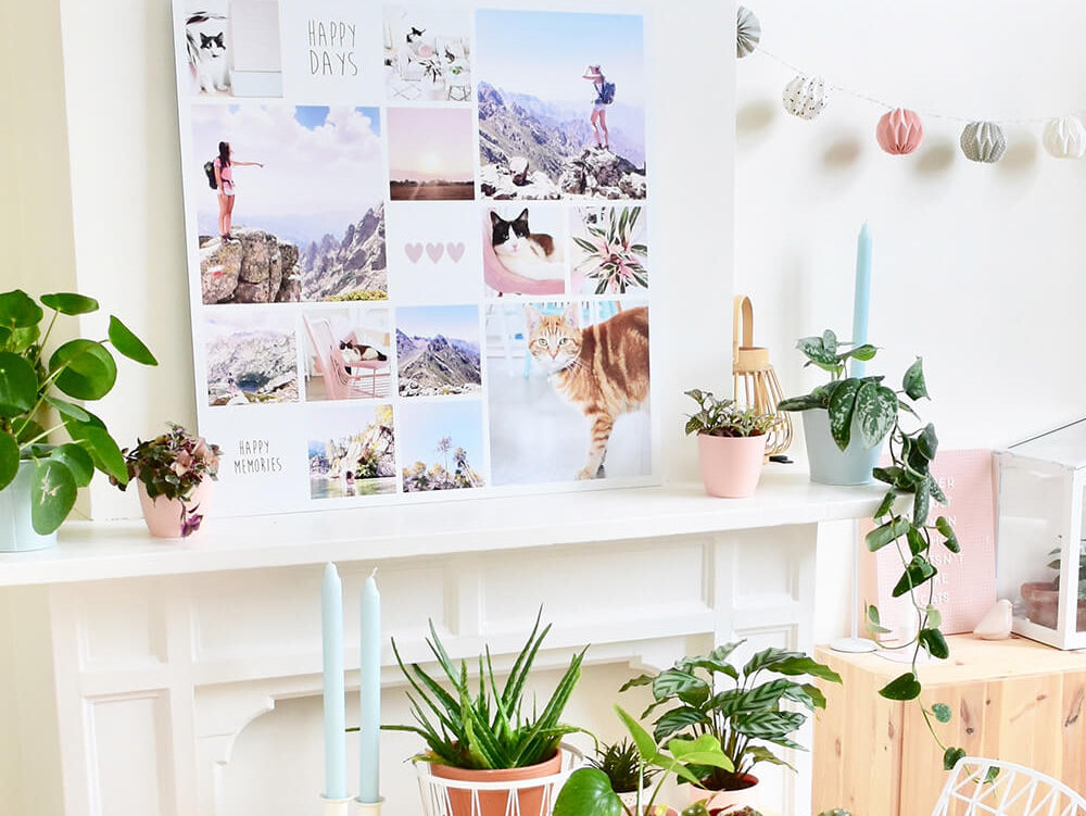 Binnenkijken tussen de planten en pasteltinten in Brugge