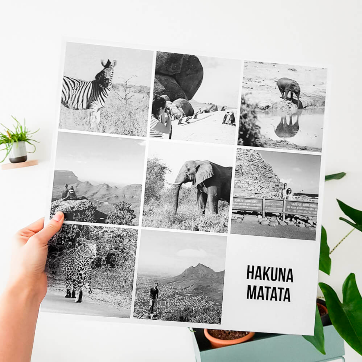 Print op aluminium Print op aluminium Instawall Prints